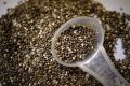 Nutraj Chia Seeds 200g Nutraj Chia Seeds 200g Nutraj Chia Seeds 200g. 