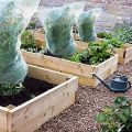 5 Packs Of Garden Plant Protection Nets with Rope, Tomato Protective Cover Garden Plant Isolation Bags for Vegetable. 