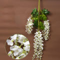 Vines Fantastic Photography Props Vines. 