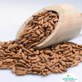 Chilgoza - Pine Nuts   - 1 kg. 