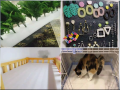 Multipurpose EPE Foam Sheet for DIY Art & Craft and Packaging. 