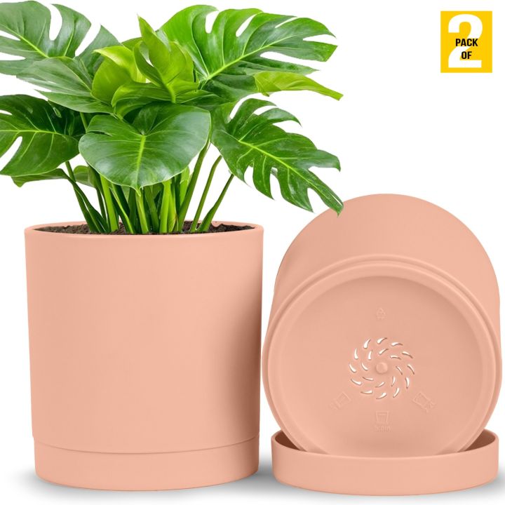 %F0%9F%8C%BF%20Fast%20Forward%206-Inch%20Plastic%20Planter%20Pots%20%E2%80%93%20Cylindrical%20Stylish,%20Durable%20&%20Plant-Friendly%20with%20Drainage%20&%20Seamless%20Saucers!%20-%20Image%204