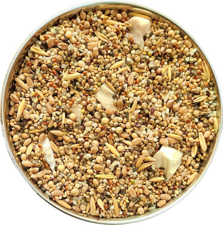 The%20Birds%20Company%20Premium%20Seed%20Blend%20of%206%20Grains,%20Fortified%20with%20Spirulina,%20Bird%20Food%20for%20Finches%20&%20Waxbills,%201%20kg%20pack%20-%20Image%202