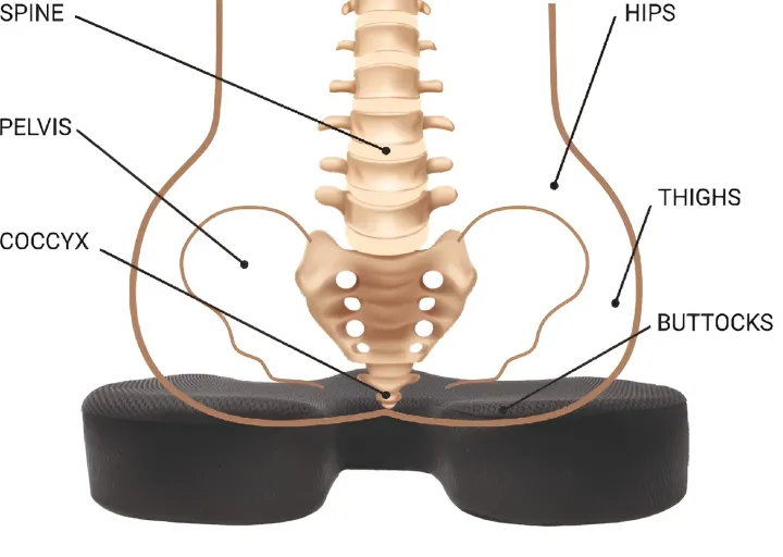 Medical%20Grade%20Ortho%20Coccyx%20Seat%20Cushion%20for%20Tailbone%20Pain-Posture%20Correction%20for%20Car/Home/Office%20Chair%20-%20Image%202