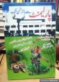 Parliament Say Bazar Husan Tak - پارلیمنٹ سے بازار حسن تک. 