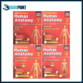 BD Chaurasia Human Anatomy – 4 Volume Set 8th Edition. 