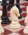 Brains Magnetic Chess Set - Large. 