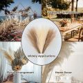 Artificial Flowers / Beige Purple Bouquet / Desktop Ornaments / Artificial Pampas Grass / Artificial Fluffy Reed / Wedding Garden Bedroom Decoration. 