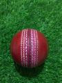 T-20 Cricket Hard Ball 1 piece. 