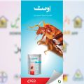 Bed Bugs Control 24G Guaranteed Result Pest Solution Bed Bugs. 