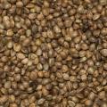 Khan Pansari Hemp Seeds, 400grm Organic, 100% Natural And Pure. 