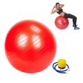 Exercise Gym Ball Exercise Ball Birthing Ball Stability Balance Yoga Ball for Birthing & Physical Therapy with Quick Pump Stomach and Weight Loss Equipment (Office & Home & Gym). 