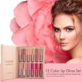 HANDAIYAN 12 Colors Matte  Liquid Lipstick Set 2.5ml*12pcs   0695. 