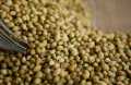 Coriander Seeds (Dhania Seed) 100g. 