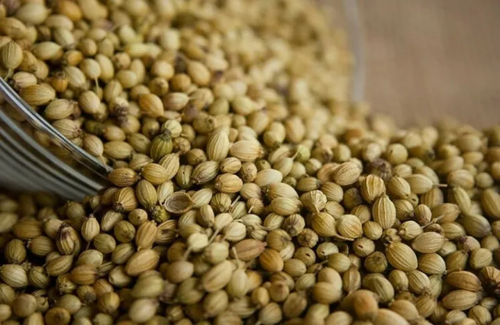 Coriander%20Seeds%20(Dhania%20Seed)%20100g%20-%20Image%204
