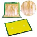 Reusable Expert Catch Mouse Glue Traps Mouse Size Glue Traps Sticky Boards Mouse Catcher Mice Professional Strength Glue Insect Lizard Spider Cockroach Rodent Snake Strongl. 