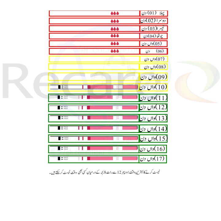 Ovulation%20Test%20Strips%20(Pack%20of%2010%20Strips%20)%20-%20Image%205