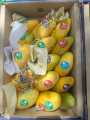 Mango Export Quality Box Sindhri  (08-09 KG Packing). 