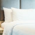 Duck Feather Pillow -  Pack of 2. 