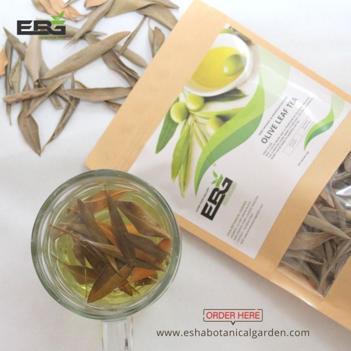 Organic%20Olive%20Leaf%20Tea%2050g%20-%20Image%202
