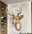 Deer Wall Mounted Wall Hanging Sculpture - Wild Beauty Home Decor. 
