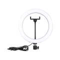 Ring Light For Tiktok and Other Platforms 10inch Ring Light | 26cm Ring Light. 