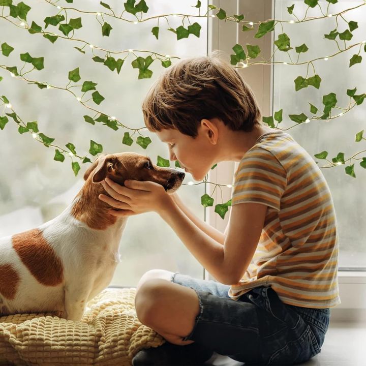 Luminous%20Ivy%20Garland%20-15%20Feet%20Artificial%20Leaves%20Decorations-%20Plug-Operated%20LED%20Lights%20for%20an%20Enchanting%20Glow%20for%20Indoor%20&%20Outdoor%20Use%20-%20Image%206