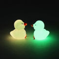10Pcs Mini Luminous Resin Ducks Glow In The Dark Miniature Ornament Tiny Duck Sunlight Super Store. 