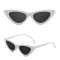 Cat Eye Sunglasses For Womens. 