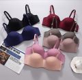 Smooth Half Cup Wired Pushup Bra. 
