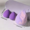 Beauty Blender Pack Of 3 2 Small And 1 Large Make Up Sponge (Premium Quality). 