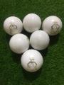 Pack of 6 six Practice Cricket Hard Ball (Synthetic Practice Hard Ball) from Royal Cricket Ball Industries. 