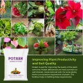 Potash Fertilizer for Plants - High Potassium for Healthy Plant Growth. 