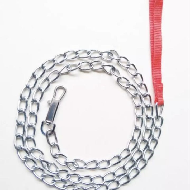 Metal Chain Leash 5ft for Cats and Puppy- High Quality Leash