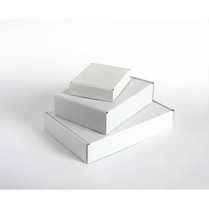 Custom%20Luxury%20Big%20White%20Premium%20Rigid%20Retail%20Packaging%20Boxes%20Bundle%20of%2010/20/50%20-%20All%20Sizes%20Corrugated%20Boxes%20-%20Image%202