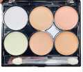 6-In-One Concealer Palette. 