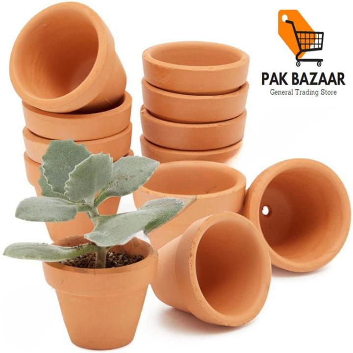 10 Pack Mini Terracotta Pots with Drainage Holes for Plants, Succulent, Cactus