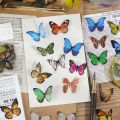 80 Pcs Elegant Butterfly Stickers PET Transparent Decorative Decals For Phone Laptop Waterbottle Planner Diary Journal Scrapbook. 