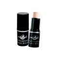 Christine Professional Paint Stick - Shade CN-ORGANZA (Orange Corrector). 