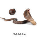 Realistic Wild Animal Snake Figurines Rattlesnake Spider Scorpion Action Figures Model Miniature Educational Prank Toys for Kids. 