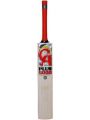 CA 5000 plus cricket bat. 