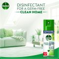 Disinfectant Spray Antibacterial All In One Disinfectant Spray Morning Dew 170m. 