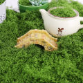 【Exclusive Discount】 1/3 Pack Mini Landcape imulated Gra Artificial Green Plant Eternal Life Mo DIY Craft Gra Garden Home Room Decor 30/50/90/150g. 