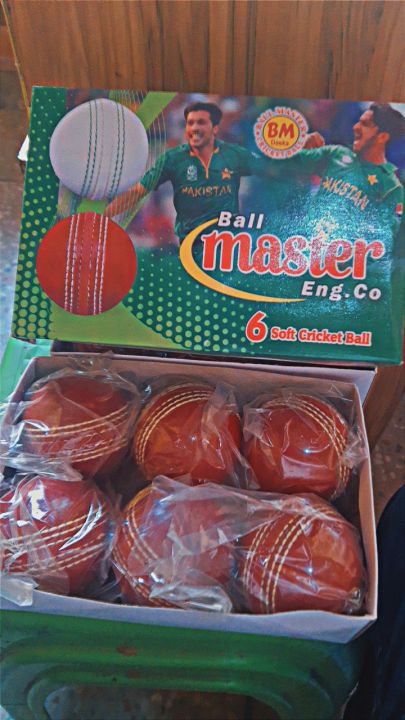 BALL%20MASTER%20SOFT%20CRICKET%20-%20Image%203