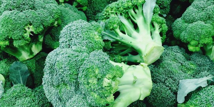 Broccoli%20230+%20High%20Quality%20Seeds%20Best%20for%20Home%20Kitchen%20Gardening%20High%20Germination%20Rate%20-%20Image%205
