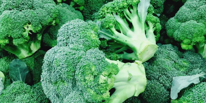 Broccoli%20230+%20High%20Quality%20Seeds%20Best%20for%20Home%20Kitchen%20Gardening%20High%20Germination%20Rate%20-%20Image%205