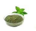 Dry Mint Powder  200 grams. 