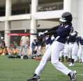 Top Recommended - Baseball Bat 32 inch - Light Weight Wooden Baseball Bats. 