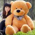 4 Feet  Teddy Bear. 