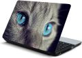 Cover Laminated Eye Laptop Back Skin Sticker 13 13.3 14.6 15 15.4 15.6 inches Laptop Skin Stickers. 
